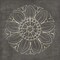 Rosette VII Gray Poster Print by Wild Apple Portfolio - Item # VARPDX21579